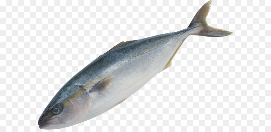 Ikan，Pixel PNG