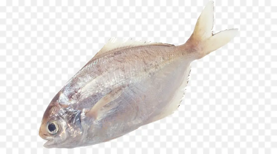 Tulang Ikan，Ikan PNG