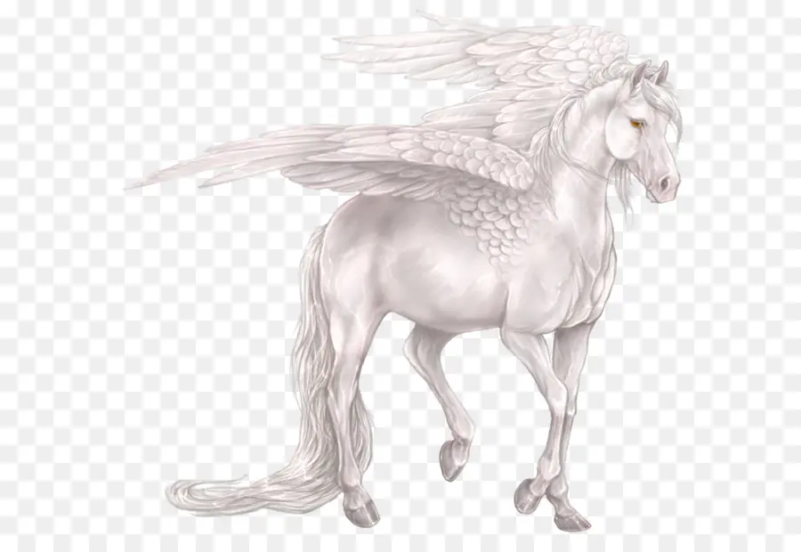 Pegasus，Kuda PNG