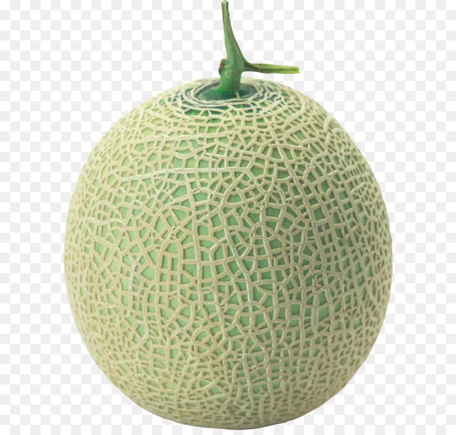 Melon，Galia Melon PNG