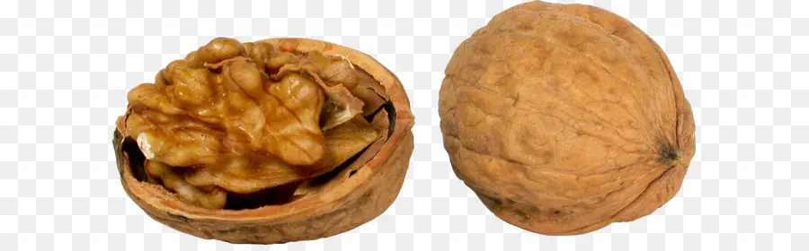 Kenari，Kacang PNG