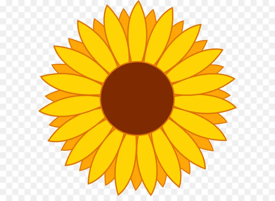 Umum Bunga Matahari，Royalti Free PNG