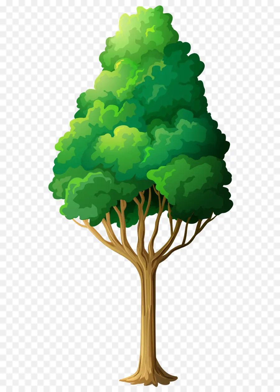 Pohon，Komputer Ikon PNG