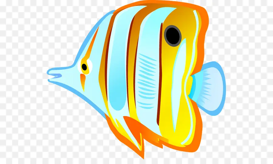 Ikan Mas，Angelfish PNG
