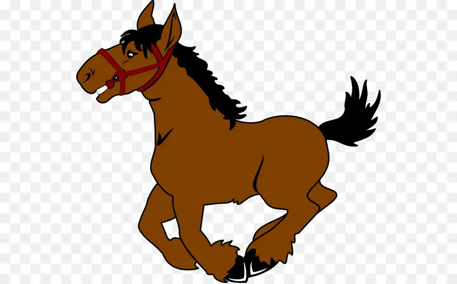 Kuda，Pony PNG
