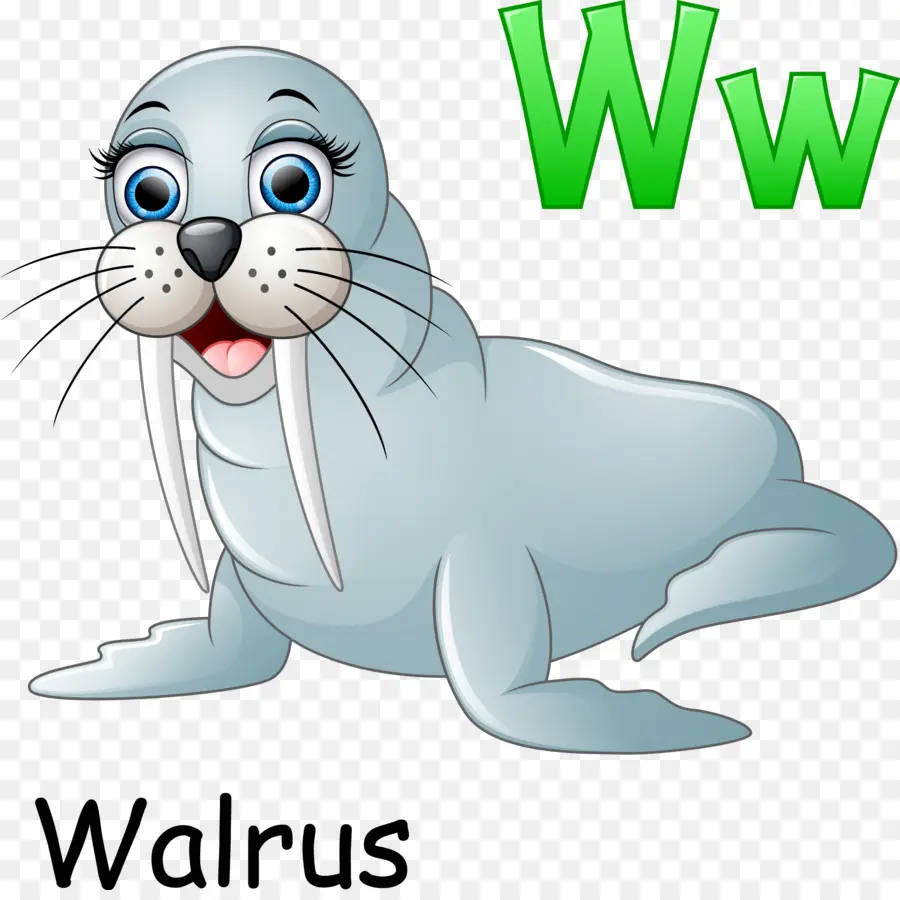 Walrus，Kartun PNG