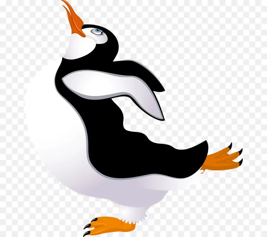 Pinguin，Sirip PNG