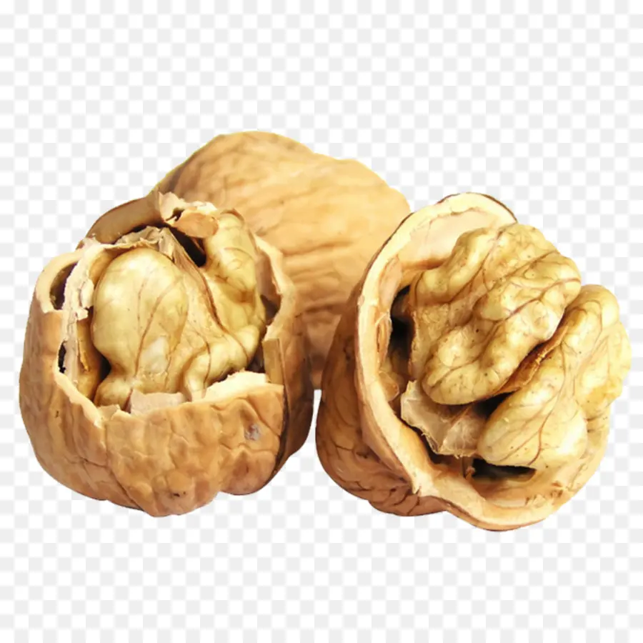 Kenari，Kacang PNG