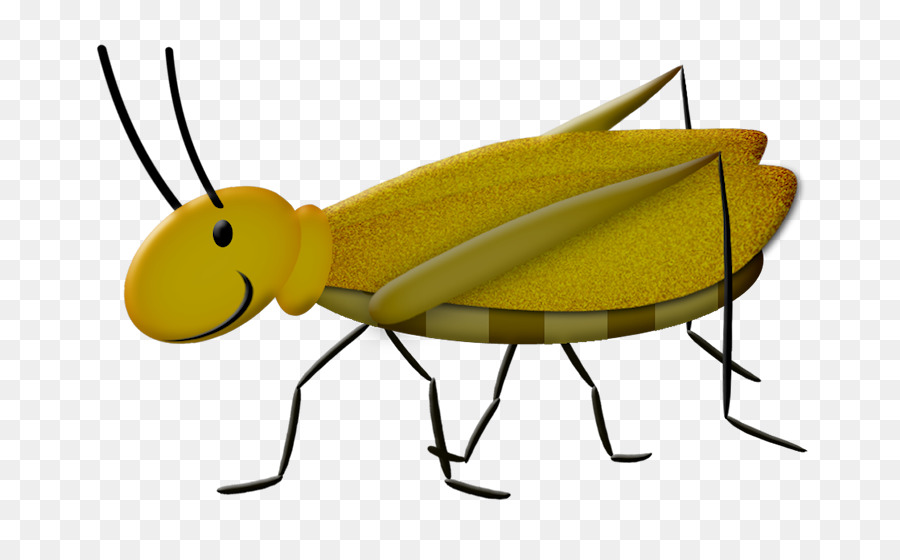 Caelifera，Kartun PNG