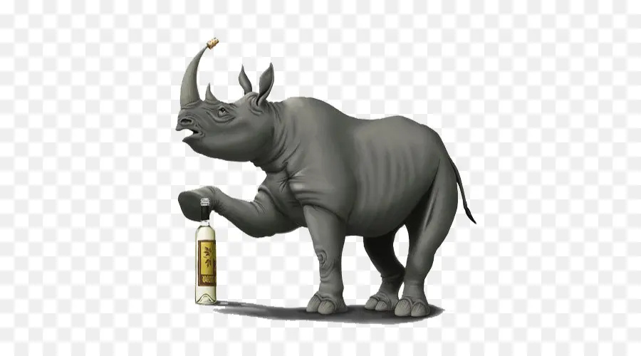 Dürers Rhinoceros，Printmaking PNG