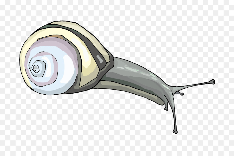 Siput，Animasi PNG