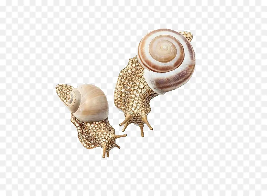 Siput，Emas PNG