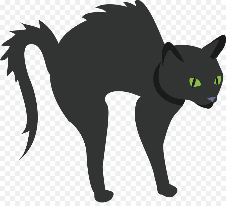 Kucing Hitam，Hallowen PNG