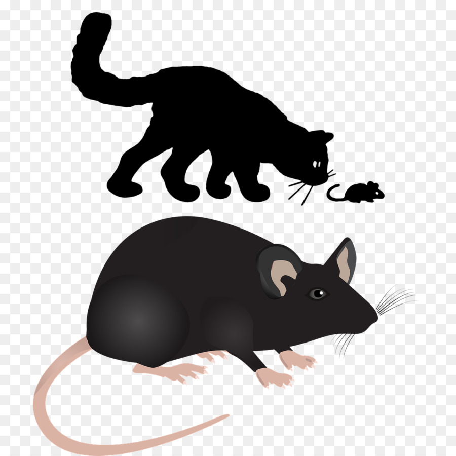 Kucing Dan Tikus，Bayangan Hitam PNG