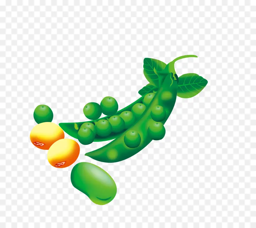 Kacang Lima，Kacang PNG