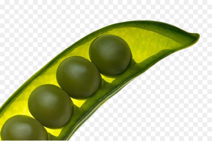 Kacang Hijau，Polong PNG