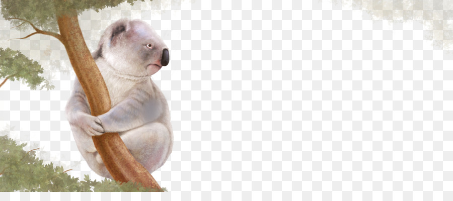 Kemalasan，Koala PNG