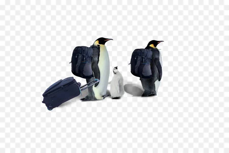 Penguin Dengan Ransel，Bepergian PNG