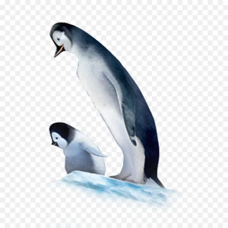 Penguin，Es PNG