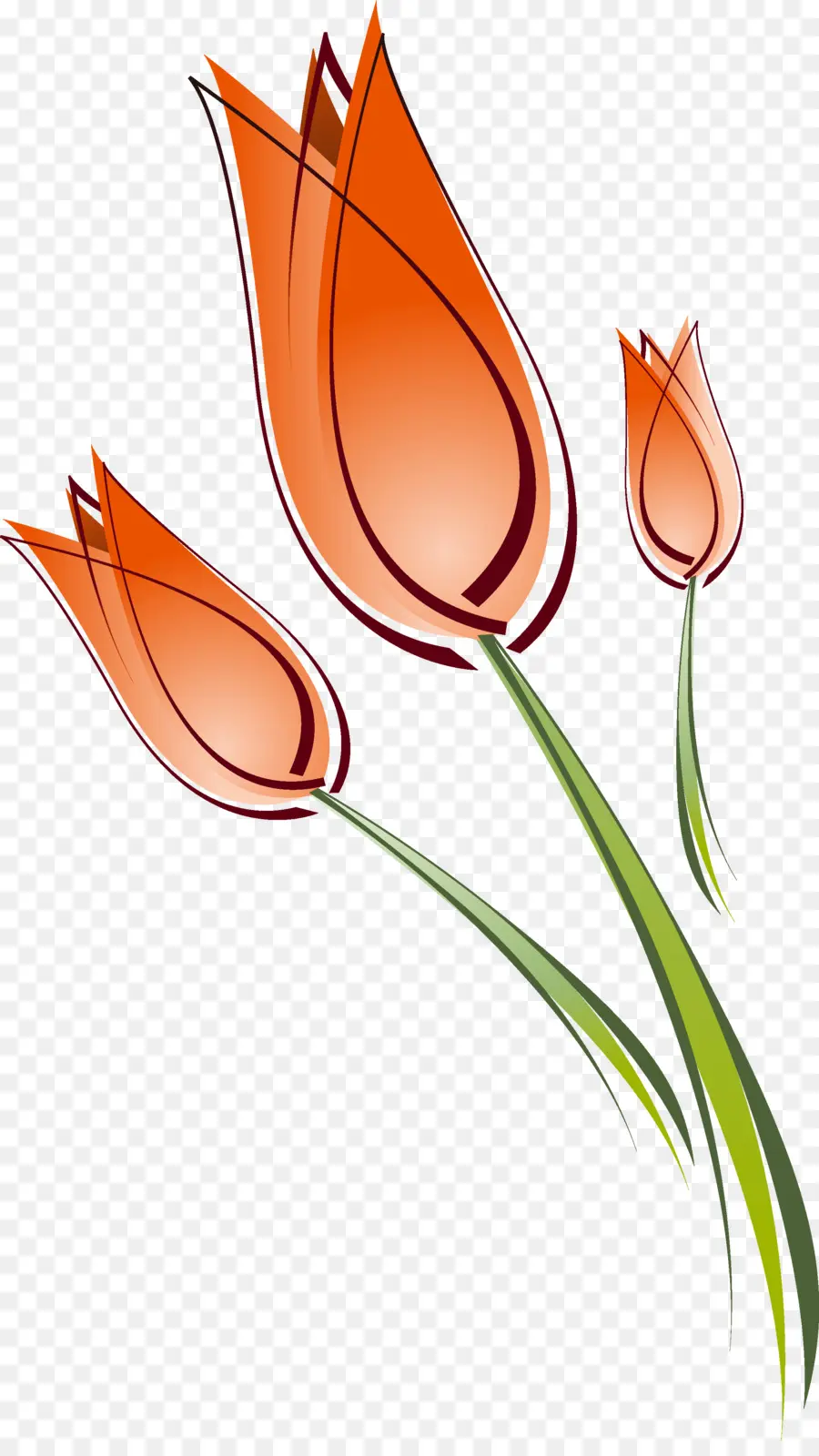Tulip，Gambar PNG