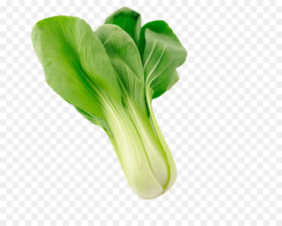 Bok Choy，Hijau PNG