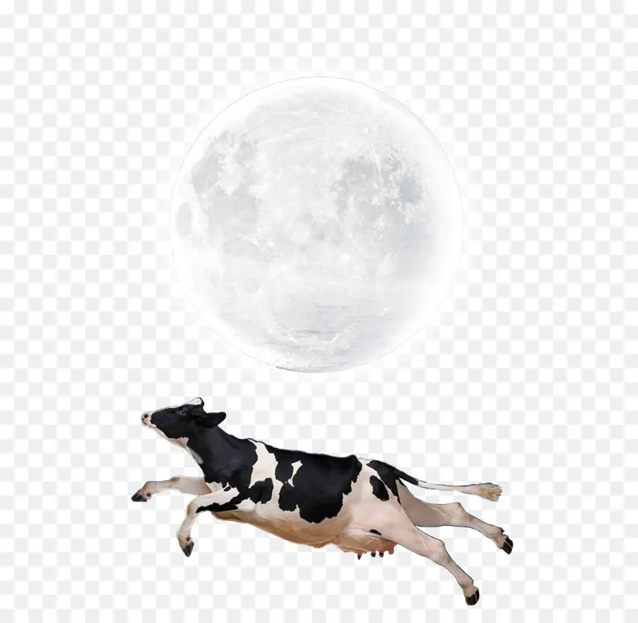 Sapi，Bulan PNG