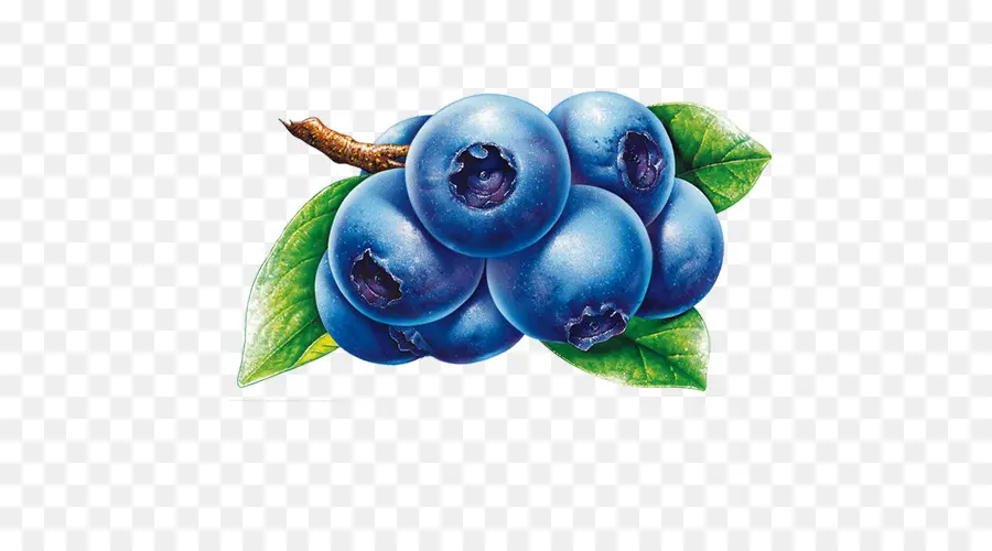 Jus，Blueberry PNG