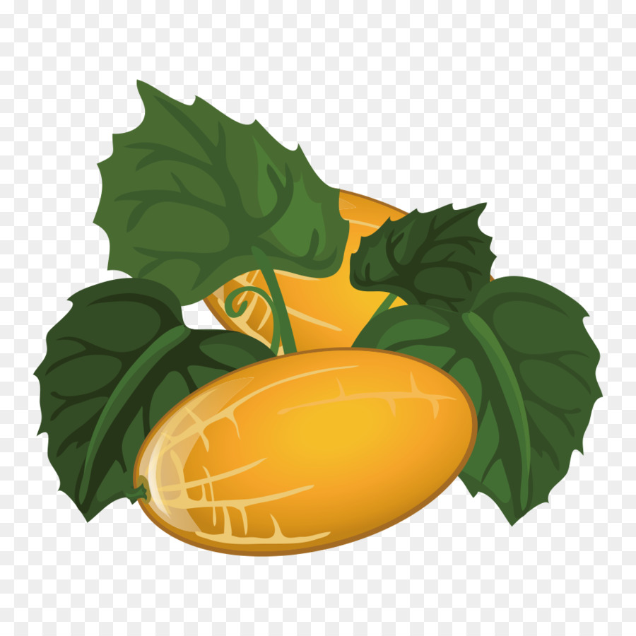 Melon，Buah PNG