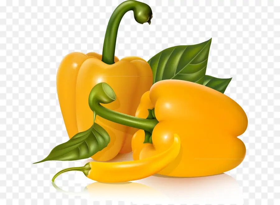 Paprika Kuning，Kuning PNG