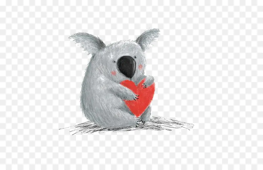 Koala，Menggambar PNG