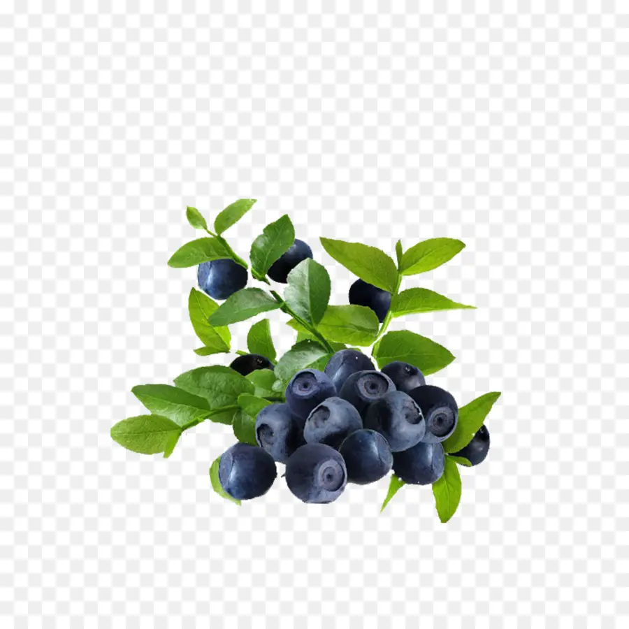 Blueberry，Daun Daun PNG