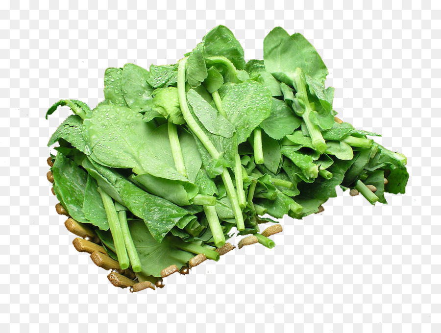 Kacang，Selada Romaine PNG