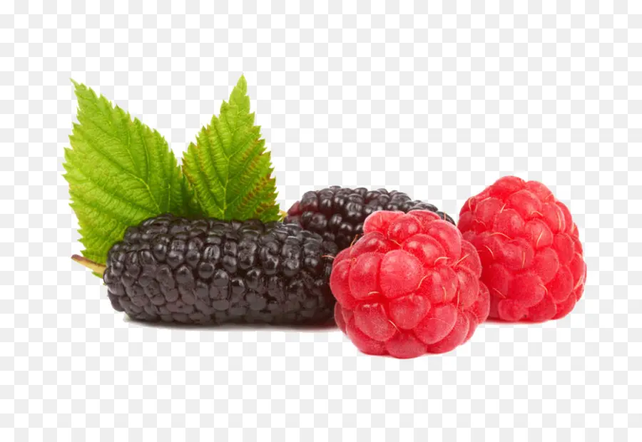 Raspberry，Boysenberry PNG