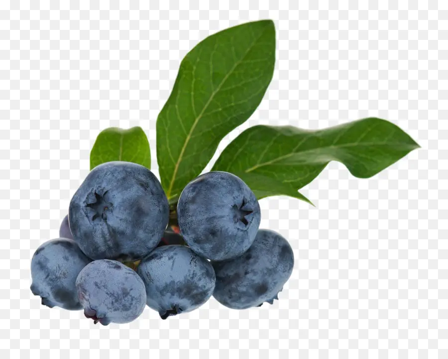 Blueberry Teh，Blueberry PNG