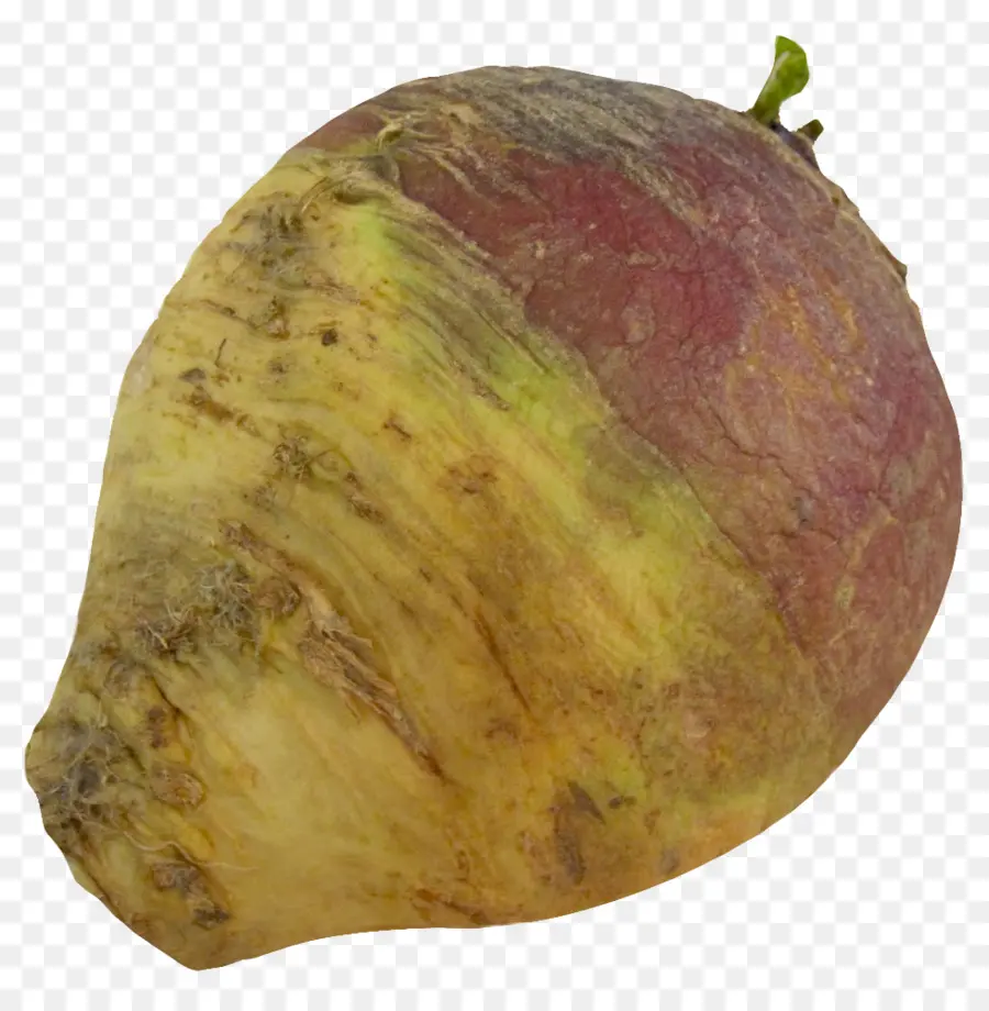 Kol Merah，Rutabaga PNG