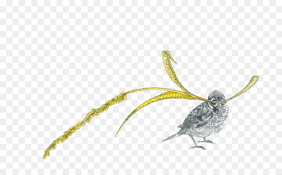 Sparrow，Gambar PNG