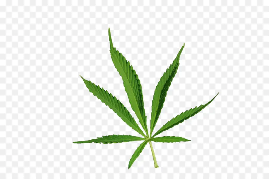 Daun，Ganja PNG