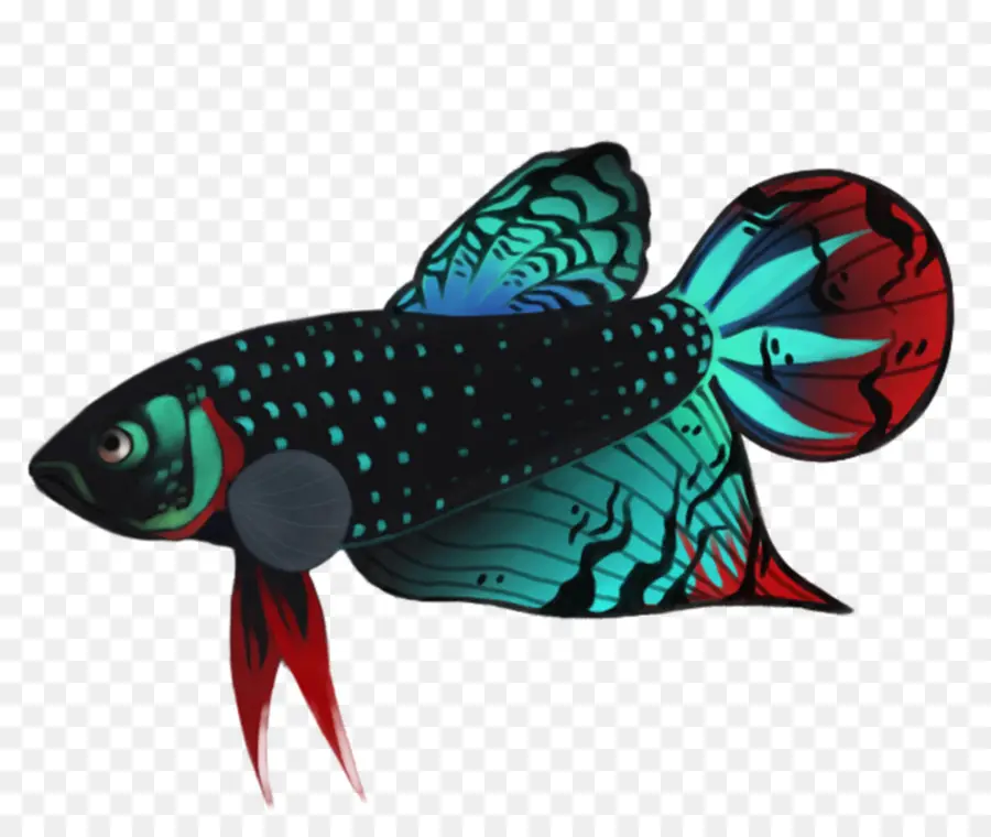 Ikan，Akuatik PNG