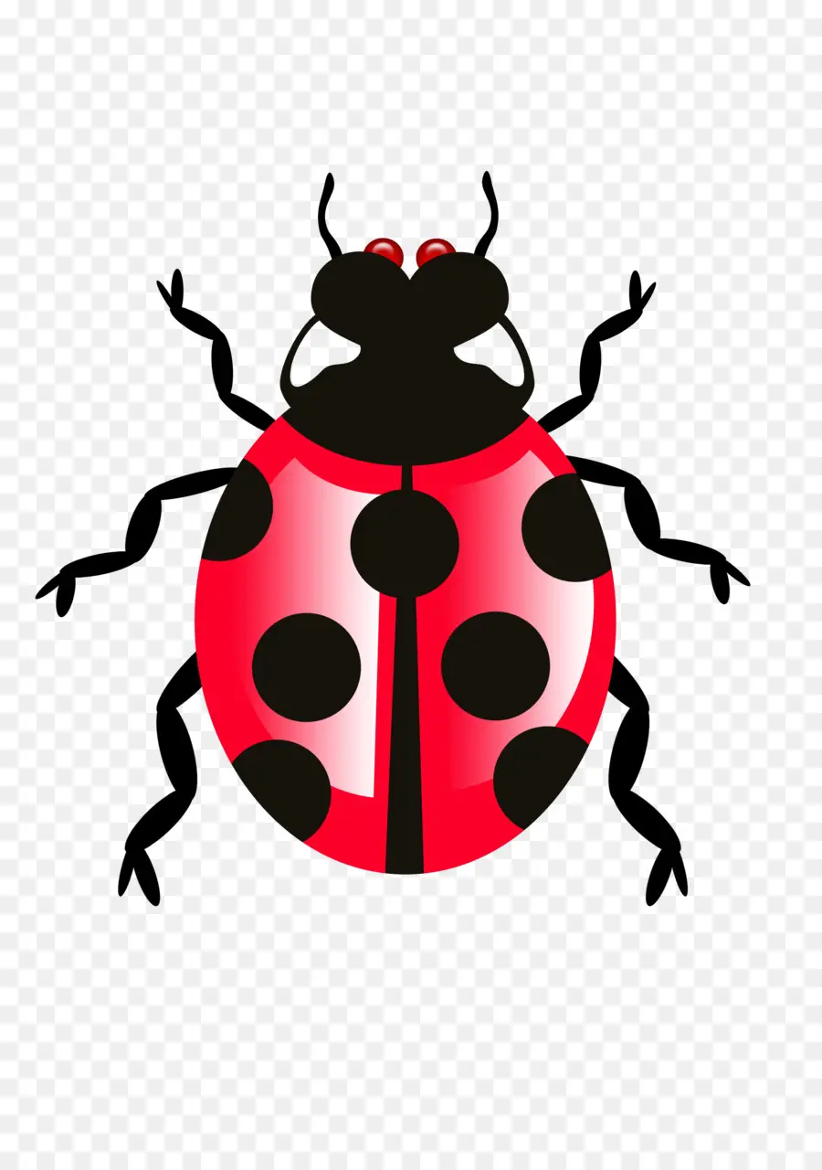 Bug Perangkat Lunak，Variabel PNG