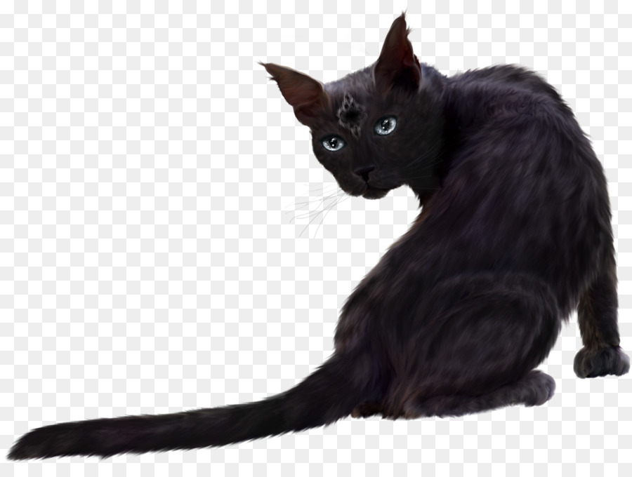 Kucing Hitam，Licik PNG