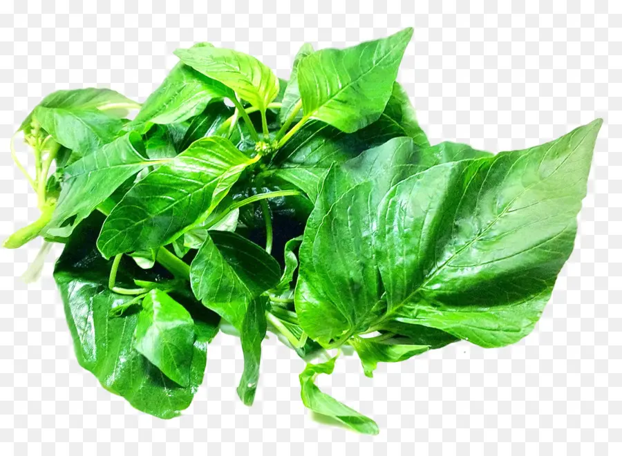 Daun，Sayuran Daun PNG