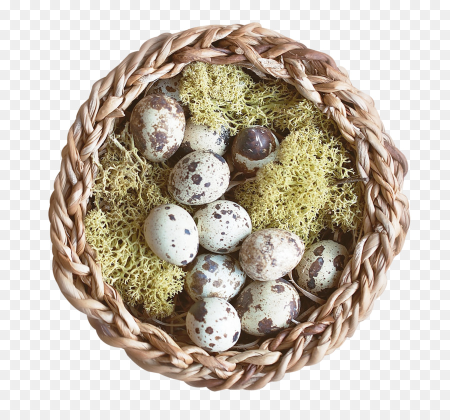 Telur，Telur Puyuh PNG