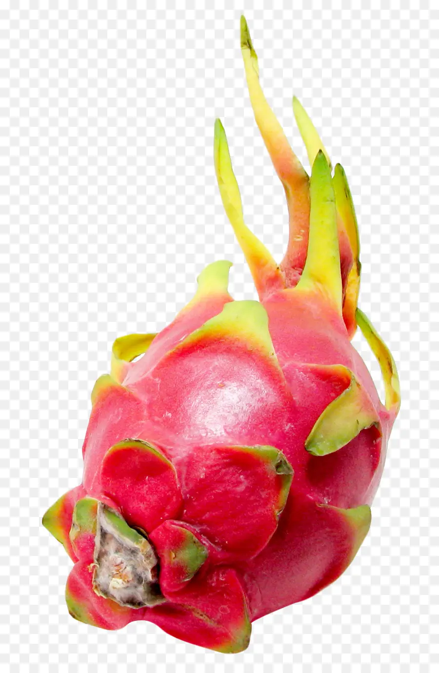 Jus，Pitaya PNG