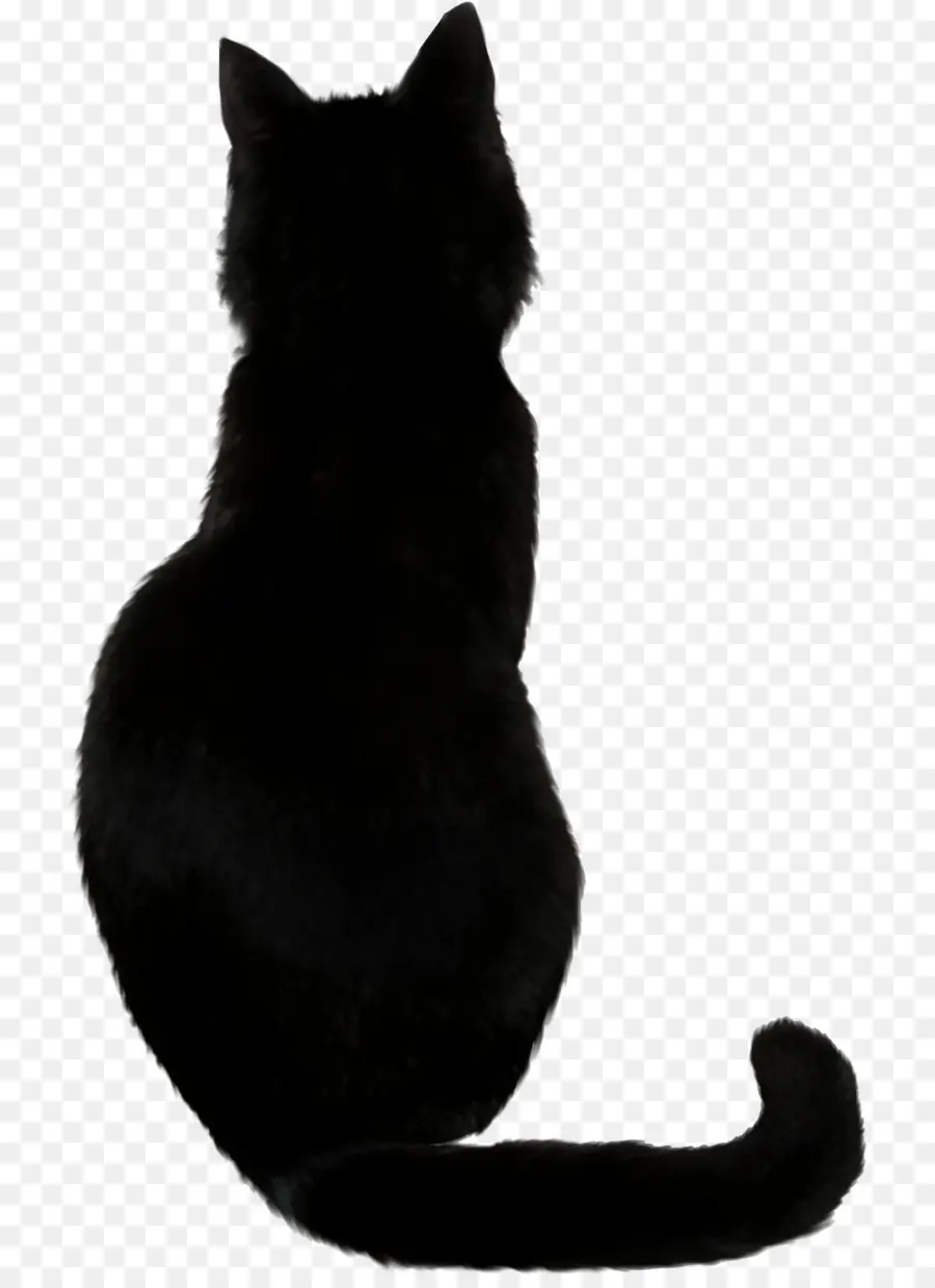 Kucing Hitam，Peliharaan PNG