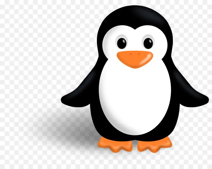 Penguin，Burung PNG