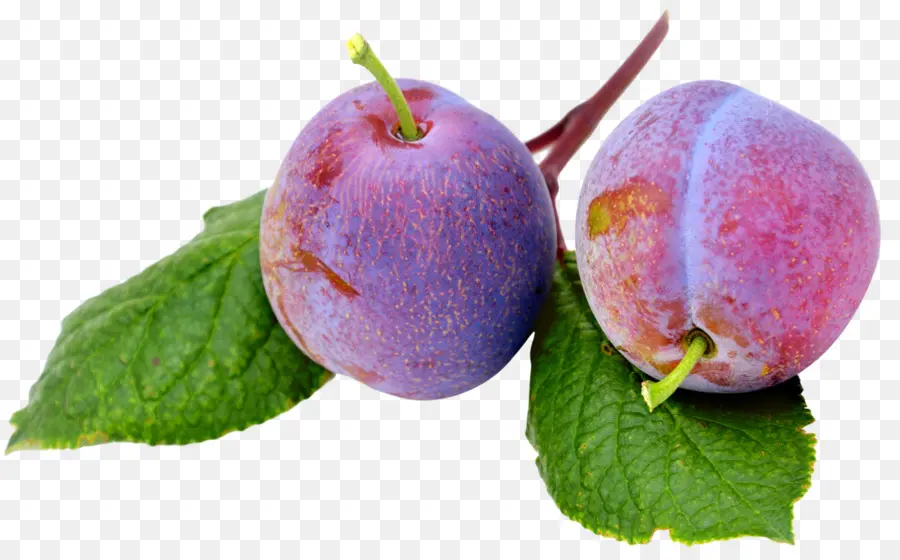 Buah Plum，Ungu PNG