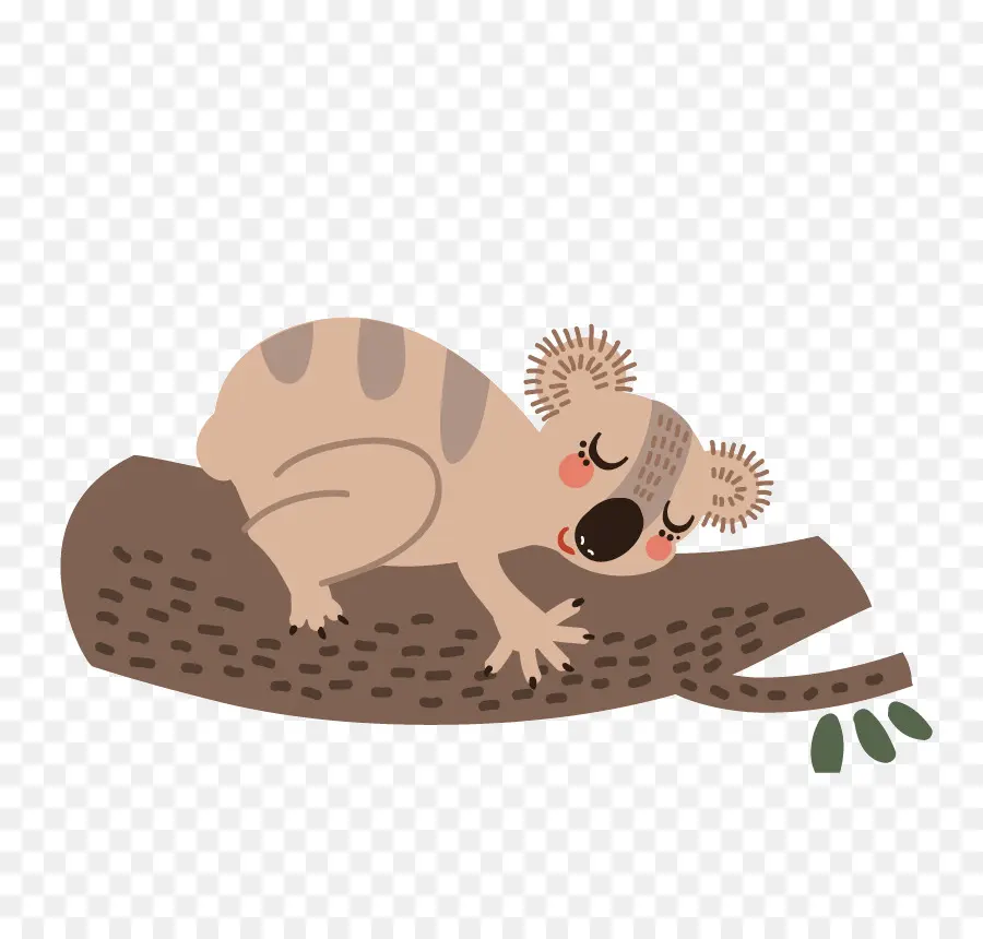 Koala，Pohon PNG