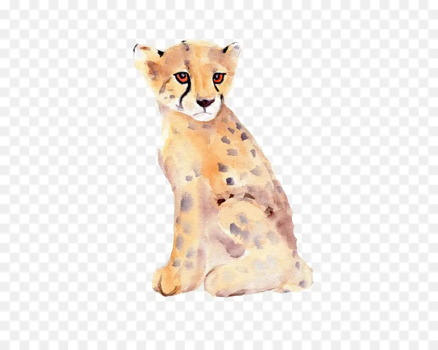 Cheetah Cat Air，Cheetah PNG