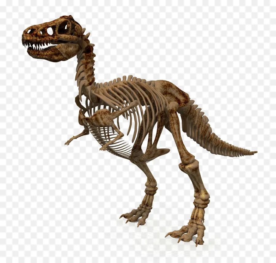 Kerangka Dinosaurus，Fosil PNG