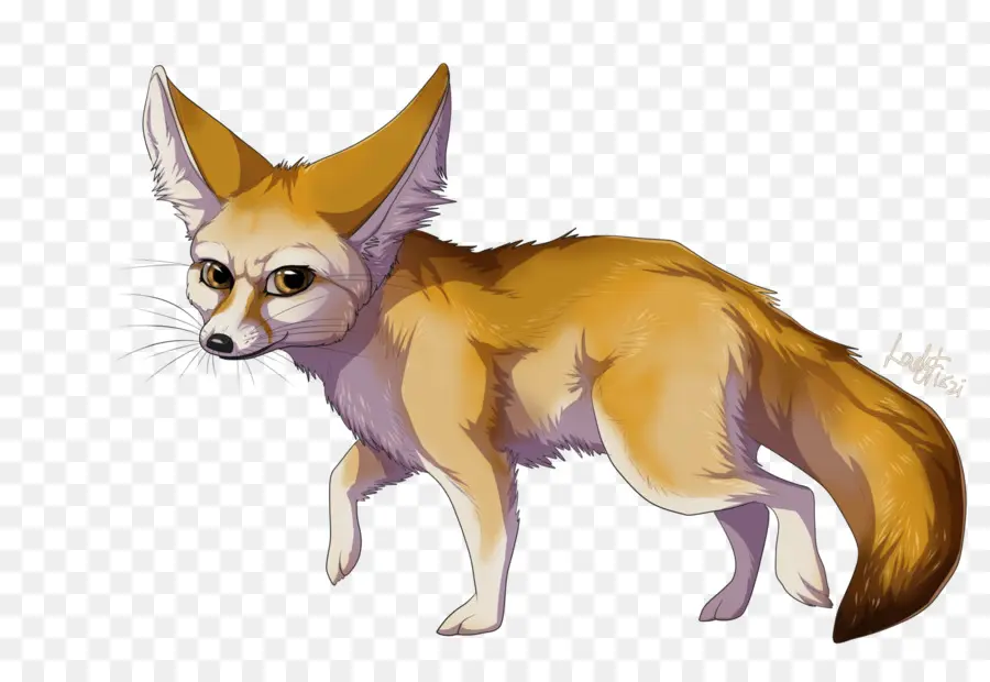 Fennec Rubah，Gurun PNG